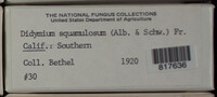 Image Associated With the Occurence